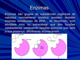 EnzimasEnzimas
Enzimas são grupos de substâncias orgânicas deEnzimas são grupos de substâncias orgânicas de
natureza normalmente proteica (existem tambémnatureza normalmente proteica (existem também
enzimas constituídas de RNA , as ribozimas), comenzimas constituídas de RNA , as ribozimas), com
atividade intra ou extracelular que têm funçõesatividade intra ou extracelular que têm funções
catalisadoras, catalisando reações químicas que, semcatalisadoras, catalisando reações químicas que, sem
a sua presença, dificilmente aconteceriam.a sua presença, dificilmente aconteceriam.
 