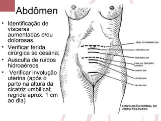 Abdômen
• Identificação de
vísceras
aumentadas e/ou
dolorosas.
• Verificar ferida
cirúrgica se cesária;
• Ausculta de ruídos
hidroaéreos
• Verificar involução
uterina (após o
parto na altura da
cicatriz umbilical;
regride aprox. 1 cm
ao dia)
 