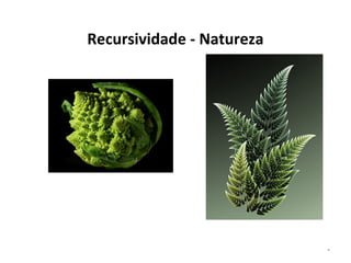 Recursividade - Natureza

*

 