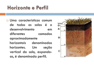 Horizonte e Perfil


Uma características comum
de todos os solos é o
desenvolvimento
em
diferentes
camadas
aproximadamente
horizontais
denominadas
horizontes.
Um
seção
vertical do solo, expondoas, é denominada perfil.

 