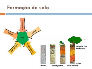 Formação do solo

 