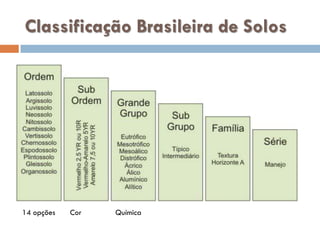 Classificação Brasileira de Solos

14 opções

Cor

Química

 