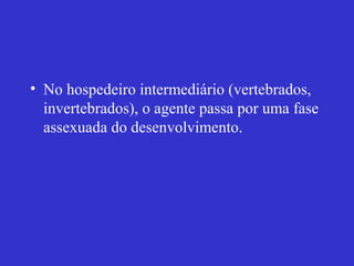 • No hospedeiro intermediário (vertebrados,
invertebrados), o agente passa por uma fase
assexuada do desenvolvimento.
 