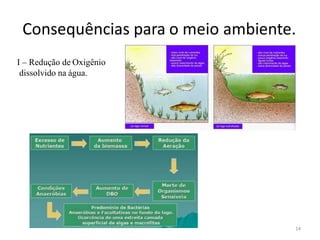 Consequências para o meio ambiente.
I – Redução de Oxigênio
dissolvido na água.
14
 