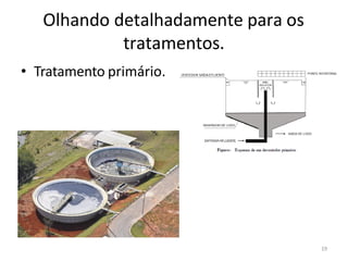 Olhando detalhadamente para os
tratamentos.
• Tratamento primário.
19
 