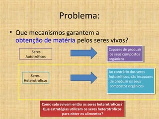 Problema:
• Que mecanismos garantem a
  obtenção de matéria pelos seres vivos?
                                                      Capazes de produzir
                                                       Capazes de produzir
        Seres
                                                      os seus compostos
                                                       os seus compostos
     Autotróficos
                                                      orgânicos
                                                       orgânicos


                                                      Ao contrário dos seres
                                                       Ao contrário dos seres
        Seres                                         Autotróficos, são incapazes
                                                       Autotróficos, são incapazes
    Heterotróficos                                    de produzir os seus
                                                       de produzir os seus
                                                      compostos orgânicos
                                                       compostos orgânicos



              Como sobrevivem então os seres heterotróficos?
               Como sobrevivem então os seres heterotróficos?
               Que estratégias utilizam os seres heterotróficos
                Que estratégias utilizam os seres heterotróficos
                          para obter os alimentos?
                           para obter os alimentos?
 