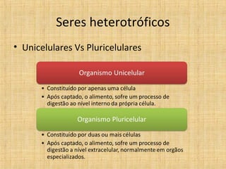 Seres heterotróficos
• Unicelulares Vs Pluricelulares
 