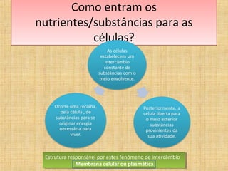 Como entram os
nutrientes/substâncias para as
           células?




 Estrutura responsável por estes fenómeno de intercâmbio
  Estrutura responsável por estes fenómeno de intercâmbio
              Membrana celular ou plasmática
               Membrana celular ou plasmática
 