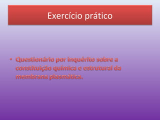 Exercício prático
 