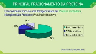 70%
20%
10%
Prot. Verdadeira
N Não protéico
Prot. Indisponível
PRINCIPAL FRACIONAMENTO DA PROTEÍNA
Fracionamento típico de uma forragem fresca em Proteína Verdadeira,
Nitrogênio Não Protéico e Proteína Indisponível
(Fonte: Van Soest, 1995; NRC, 2001)
 