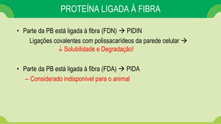 PROTEÍNA LIGADA À FIBRA
• Parte da PB está ligada à fibra (FDN)  PIDIN
Ligações covalentes com polissacarídeos da parede celular 
 Solubilidade e Degradação!
• Parte da PB está ligada à fibra (FDA)  PIDA
– Considerado indisponível para o animal
 