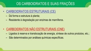OS CARBOIDRATOS E SUAS FRAÇÕES
• CARBOIDRATOS ESTRUTURAIS (CE)
– Dá forma e estrutura à planta;
– Resistente à degradação por enzimas de mamíferos.
• CARBOIDRATOS NÃO ESTRUTURAIS (CNE)
– Ligados à reserva e translocação de energia, síntese de outros produtos, etc.;
– São determinados por análises químicas específicas.
 