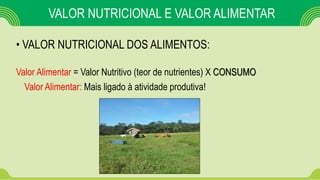• VALOR NUTRICIONAL DOS ALIMENTOS:
Valor Alimentar = Valor Nutritivo (teor de nutrientes) X CONSUMO
VALOR NUTRICIONAL E VALOR ALIMENTAR
Valor Alimentar: Mais ligado à atividade produtiva!
 