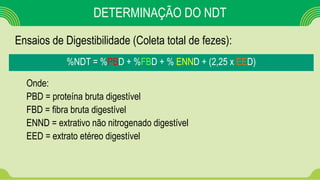 DETERMINAÇÃO DO NDT
%NDT = %PBD + %FBD + % ENND + (2,25 x EED)
Onde:
PBD = proteína bruta digestível
FBD = fibra bruta digestível
ENND = extrativo não nitrogenado digestível
EED = extrato etéreo digestível
Ensaios de Digestibilidade (Coleta total de fezes):
 
