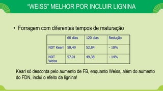 “WEISS” MELHOR POR INCLUIR LIGNINA
• Forragem com diferentes tempos de maturação
60 dias 120 dias Redução
NDT Kearl 58,49 52,84 - 10%
NDT
Weiss
57,01 49,38 - 14%
Kearl só desconta pelo aumento de FB, enquanto Weiss, além do aumento
do FDN, inclui o efeito da lignina!
 