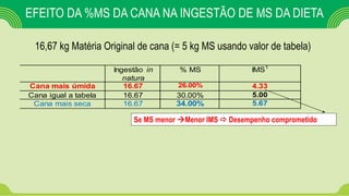 EFEITO DA %MS DA CANA NA INGESTÃO DE MS DA DIETA
16,67 kg Matéria Original de cana (= 5 kg MS usando valor de tabela)
Ingestão in
natura
% MS IMS1
Cana mais úmida 16.67 26.00% 4.33
Cana igual a tabela 16.67 30.00% 5.00
Cana mais seca 16.67 34.00% 5.67
Se MS menor Menor IMS  Desempenho comprometido
 