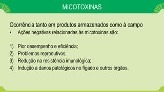 MICOTOXINAS
Ocorrência tanto em produtos armazenados como à campo
• Ações negativas relacionadas às micotoxinas são:
1) Pior desempenho e eficiência;
2) Problemas reprodutivos;
3) Redução na resistência imunológica;
4) Indução a danos patológicos no fígado e outros órgãos.
 