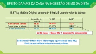 EFEITO DA %MS DA CANA NA INGESTÃO DE MS DA DIETA
16,67 kg Matéria Original de cana (= 5 kg MS usando valor de tabela)
Ingestão in
natura
% MS IMS1
Cana mais úmida 16.67 26.00% 4.33
Cana igual a tabela 16.67 30.00% 5.00
Cana mais seca 16.67 34.00% 5.67
Se MS menor Menor IMS  Desempenho comprometido
Se MS menor Maior IMS  Interpretação equivocada de baixa IMO;
Perda de oportunidade economia no custo mínimo...
 