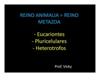 REINO ANIMALIA = REINO
       METAZOA

     - Eucariontes
    - Pluricelulares
    - Heterotrofos


              Prof. Vicky
 
