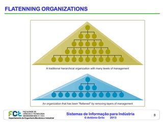 FLATENNING ORGANIZATIONS




                                                    Sistemas de Informação para Indústria   8
 Departamento de Engenharia Mecânica e Industrial            © António Grilo   2013
 