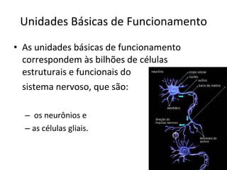 Unidades Básicas de Funcionamento As unidades básicas de funcionamento correspondem às bilhões de células estruturais e funcionais do  sistema nervoso, que são: os neurônios e  as células gliais.  