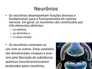 Neurônios Os neurônios desempenham funções diversas e fundamentais para o funcionamento do sistema nervoso. Em geral, os neurônios são constituídos por três elementos distintos:  os axônios,  os dentritos e  o corpo celular. Os neurônios conectam-se  uns com os outros. Estas conexões são denominadas sinapses e ocor- rem pela liberação de substâncias químicas (neurotransmissores)  produzidas pelos neurônios. 
