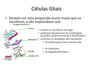 Células Gliais 