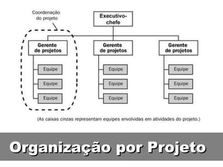 Organização por Projeto 