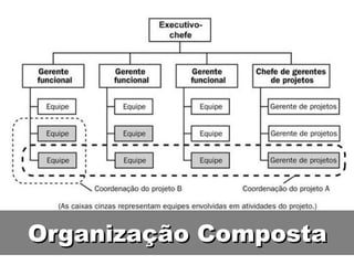 Organização Composta 