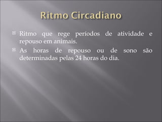 Ritmo que rege períodos de atividade e repouso em animais. As horas de repouso ou de sono são determinadas pelas 24 horas do dia. 