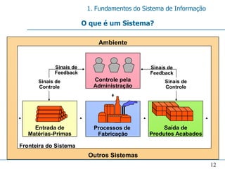 1. Fundamentos do Sistema de Informação

                        O que é um Sistema?

                            Ambiente


            Sinais de                        Sinais de
            Feedback                         Feedback
      Sinais de            Controle pela          Sinais de
      Controle             Administração          Controle




     Entrada de            Processos de           Saída de
   Matérias-Primas          Fabricação       Produtos Acabados

Fronteira do Sistema
                         Outros Sistemas
                                                                   12
 