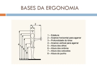 BASES DA ERGONOMIA
 