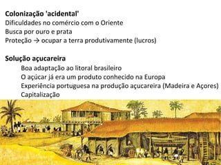 Colonização 'acidental'
Dificuldades no comércio com o Oriente
Busca por ouro e prata
Proteção → ocupar a terra produtivamente (lucros)

Solução açucareira
     Boa adaptação ao litoral brasileiro
     O açúcar já era um produto conhecido na Europa
     Experiência portuguesa na produção açucareira (Madeira e Açores)
     Capitalização
 