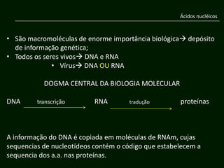 Ácidos nucléicos



• São macromoléculas de enorme importância biológica depósito
  de informação genética;
• Todos os seres vivos DNA e RNA
              • Vírus DNA OU RNA

           DOGMA CENTRAL DA BIOLOGIA MOLECULAR

DNA      transcrição       RNA       tradução        proteínas



A informação do DNA é copiada em moléculas de RNAm, cujas
sequencias de nucleotídeos contém o código que estabelecem a
sequencia dos a.a. nas proteínas.
 