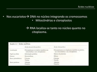Ácidos nucléicos



• Nos eucariotos DNA no núcleo integrando os cromossomos
                   • Mitocôndrias e cloroplastos

                RNA localiza-se tanto no núcleo quanto no
                  citoplasma.
 