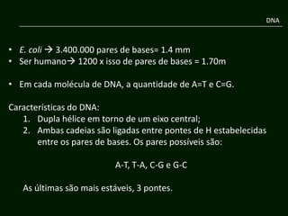 DNA



• E. coli  3.400.000 pares de bases= 1.4 mm
• Ser humano 1200 x isso de pares de bases = 1.70m

• Em cada molécula de DNA, a quantidade de A=T e C=G.

Características do DNA:
   1. Dupla hélice em torno de um eixo central;
   2. Ambas cadeias são ligadas entre pontes de H estabelecidas
       entre os pares de bases. Os pares possíveis são:

                           A-T, T-A, C-G e G-C

   As últimas são mais estáveis, 3 pontes.
 
