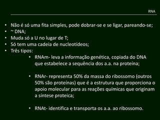 RNA


•   Não é só uma fita simples, pode dobrar-se e se ligar, pareando-se;
•   ~ DNA;
•   Muda só a U no lugar de T;
•   Só tem uma cadeia de nucleotídeos;
•   Três tipos:
             • RNAm- leva a informação genética, copiada do DNA
                que estabelece a sequência dos a.a. na proteína;

            • RNAr- representa 50% da massa do ribossomo (outros
              50% são proteínas) que é a estrutura que proporciona o
              apoio molecular para as reações químicas que originam
              a síntese proteica;

            • RNAt- identifica e transporta os a.a. ao ribossomo.
 