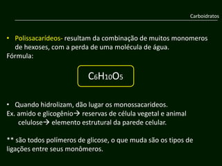 Carboidratos



• Polissacarídeos- resultam da combinação de muitos monomeros
  de hexoses, com a perda de uma molécula de água.
Fórmula:

                          C6H10O5
                             ‘




• Quando hidrolizam, dão lugar os monossacarideos.
Ex. amido e glicogênio reservas de célula vegetal e animal
    celulose elemento estrutural da parede celular.

** são todos polímeros de glicose, o que muda são os tipos de
ligações entre seus monômeros.
 