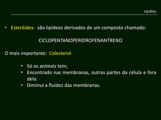 Lípidios



• Esteróides- são lipídeos derivados de um composto chamado:

              CICLOPENTANOPERIDROFENANTRENO

O mais importante: Colesterol

       • Só os animais tem;
       • Encontrado nas membranas, outras partes da célula e fora
         dela.
       • Diminui a fluidez das membranas.
 