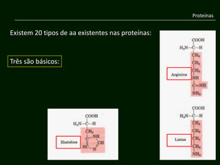 Proteínas


Existem 20 tipos de aa existentes nas proteínas:


Três são básicos:
 