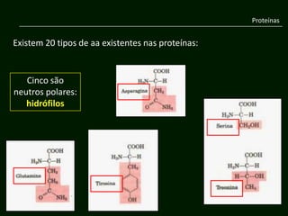 Proteínas


Existem 20 tipos de aa existentes nas proteínas:


   Cinco são
neutros polares:
   hidrófilos
 
