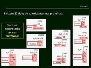 Proteínas


Existem 20 tipos de aa existentes nas proteínas:


 Cinco são
neutros não
  polares:
hidrófobos
 