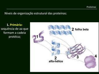 Proteínas

  Níveis de organização estrutural das proteínas:


    1. Primária-
sequência de aa que
  formam a cadeia
      protéica;
 