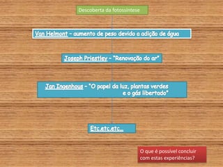 Descoberta da fotossíntese
O que é possível concluir
com estas experiências?
 