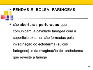 15
 FENDAS E  BOLSA  FARÍNGEAS
 são aberturas perfuradas que
comunicam  a cavidade faríngea com a
superfície externa- são formadas pela
invaginação do ectoderma (sulcos
faríngeos)  e da evaginação do  endoderma
que reveste a faringe
 