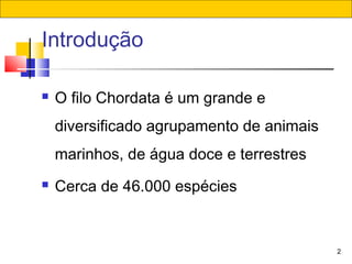 2
Introdução
 O filo Chordata é um grande e
diversificado agrupamento de animais
marinhos, de água doce e terrestres
 Cerca de 46.000 espécies
 