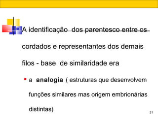 31
 A identificação  dos parentesco entre os
cordados e representantes dos demais
filos - base  de similaridade era
 a  analogia ( estruturas que desenvolvem
funções similares mas origem embrionárias
distintas) 
 