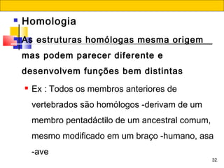 32
 Homologia
 As estruturas homólogas mesma origem
mas podem parecer diferente e
desenvolvem funções bem distintas
 Ex : Todos os membros anteriores de
vertebrados são homólogos -derivam de um
membro pentadáctilo de um ancestral comum,
mesmo modificado em um braço -humano, asa
-ave
 