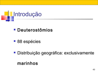 43
Introdução
 Deuterostômios
 88 espécies
 Distribuição geográfica: exclusivamente
marinhos
 