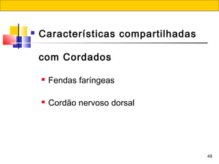 49
 Características compartilhadas
com Cordados
 Fendas faríngeas
 Cordão nervoso dorsal
 